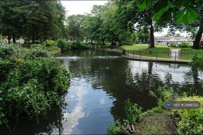 Tower Gardens Pond