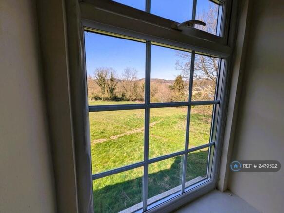 View From Living Room