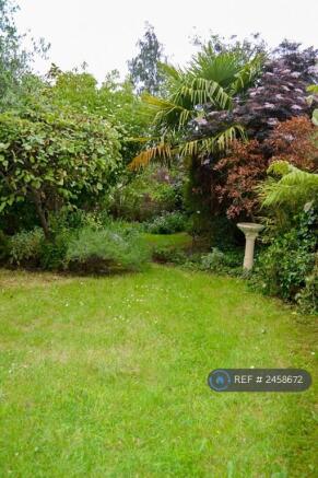 Garden From Back Door
