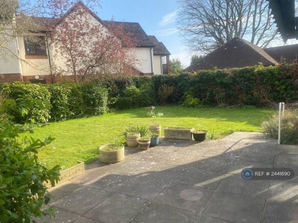 Back Garden