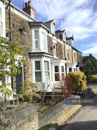 Sunny Sheffield
