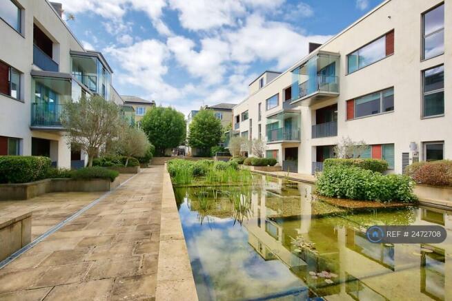 Communal Pond