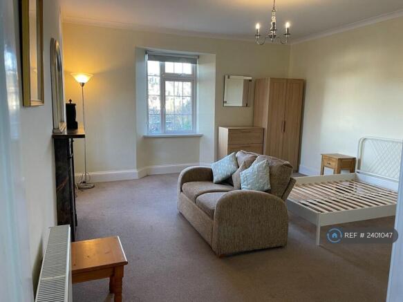 Large Living Room/Bedroom