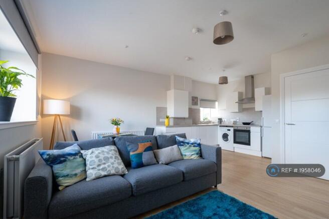 Living/Dinning/Kitchen 