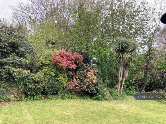 Well Established Garden
