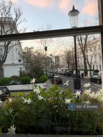 Front Window View