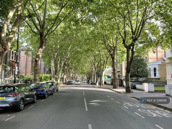 Tree Lined Road