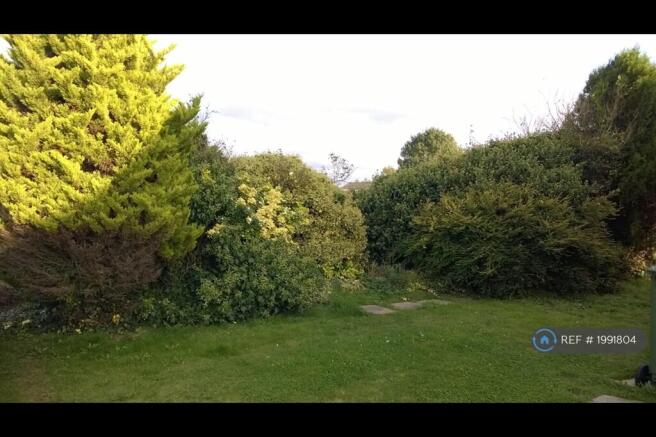 Side Garden