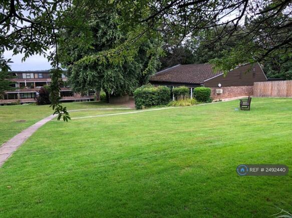 Shared Garden / Pool House