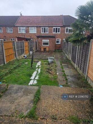Back Garden 