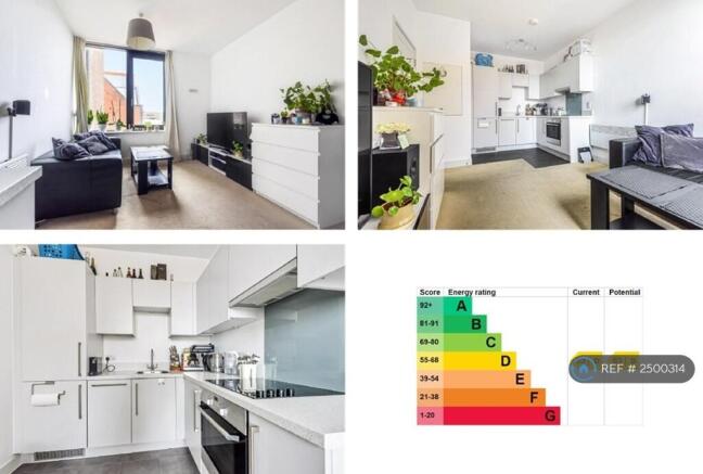 Living Area And Kitchen 