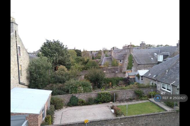 View From Front Window