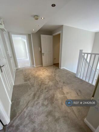 Flats Own Hallway