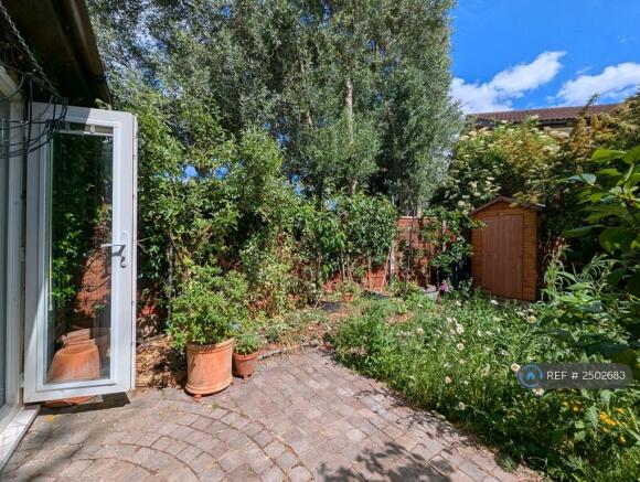 South-Facing Garden