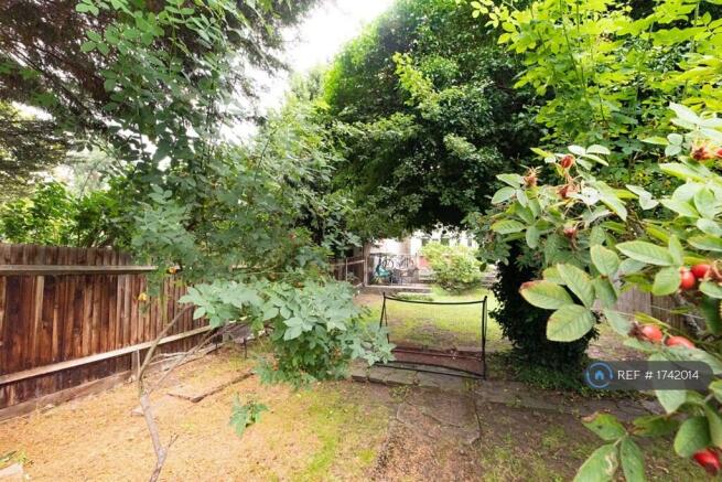 House To Let With Wonderful Sw Facing Garden