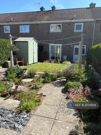 Back Garden