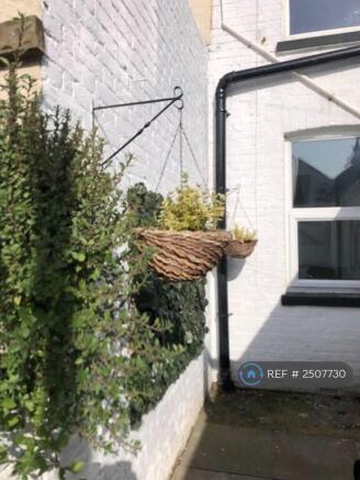 Back Garden