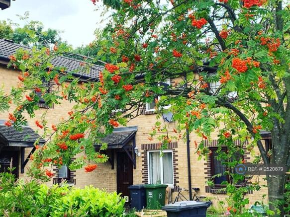 Front Garden View