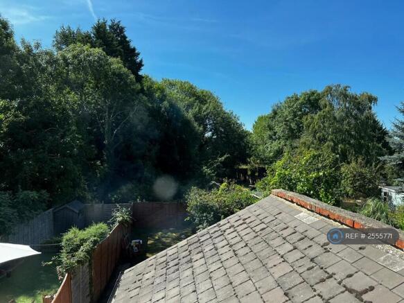 Leafy Rear Outlook