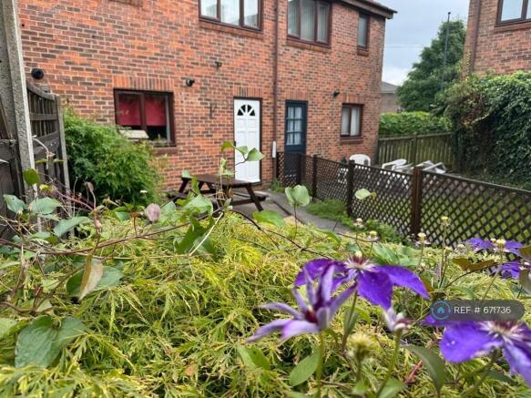 Back Garden - Sunny Aspect, Easy Care