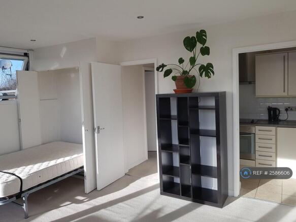 View With Hidden Pull Down Bed 