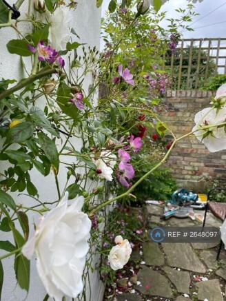 The Arbour 1 2024