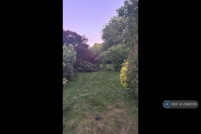 Back Garden