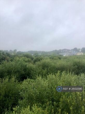 View From Side And Rear Windows 