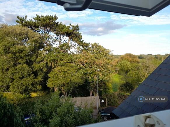 Views Towards Royalty Stretch Of The River