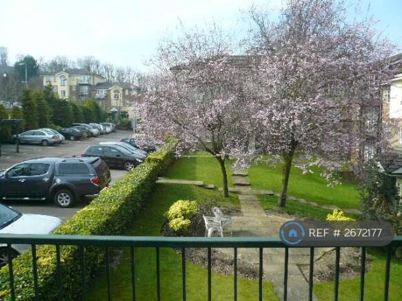 Communal Garden
