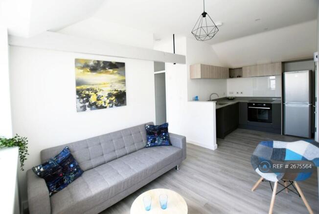 Living / Kitchen Area