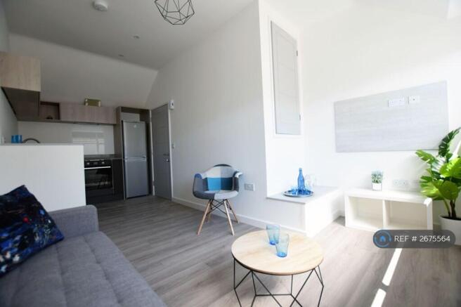 Living / Kitchen Area