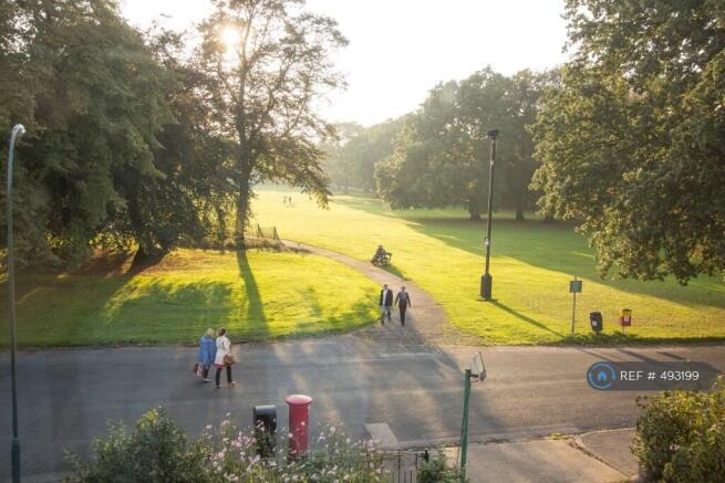 The View From Pearson Park Apartments