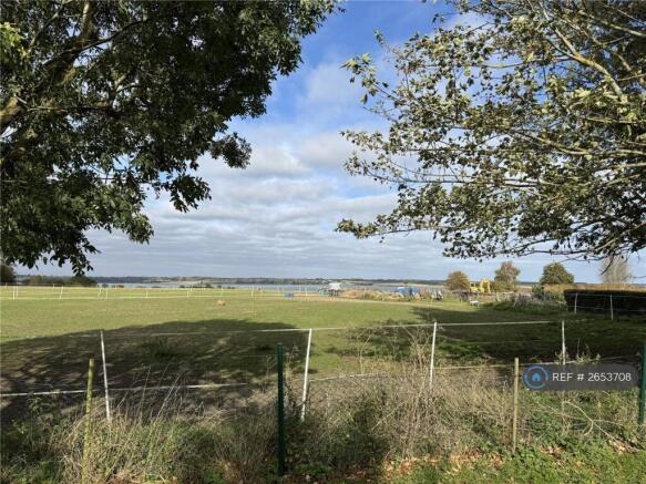 Uninterrupted Views / Horses Grazing