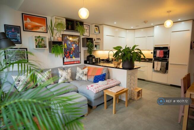 Living Room & Kitchen