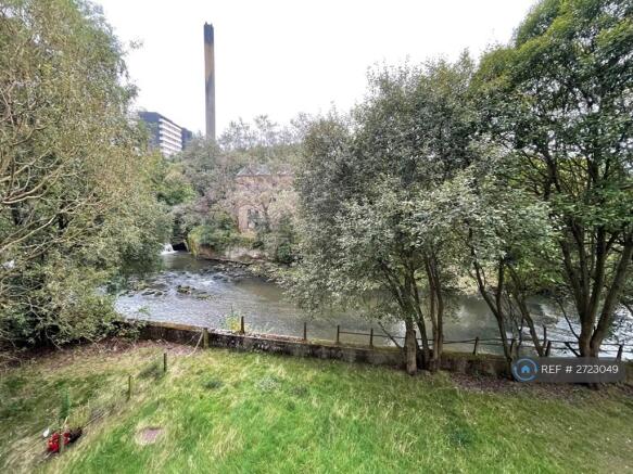 South Facing View From Living Room