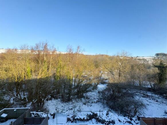 WOODLAND VIEWS