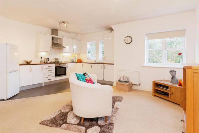 Living Area/Kitchen