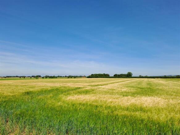 Lot 4.jpg