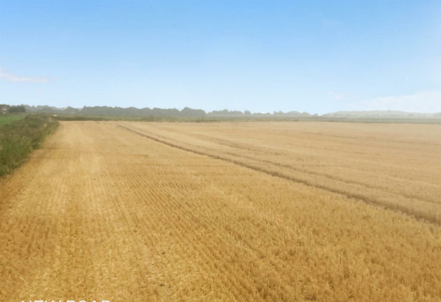 new rd2 (2).png