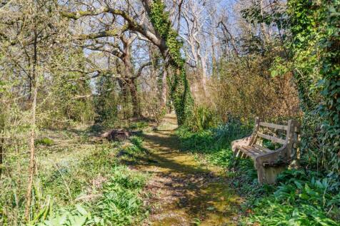 Woods