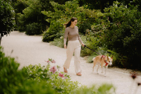 Lifestyle - Garden