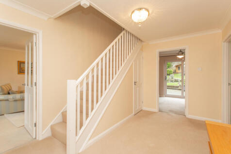 Picture 14
