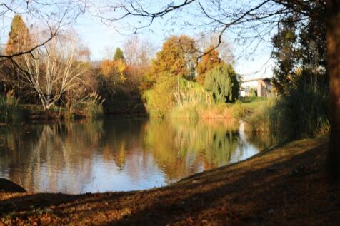 Copy of IMG_1981.JPG