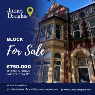 JD social media temp