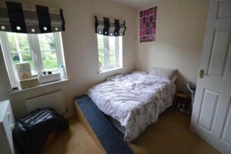 WhatsApp Image 2025-