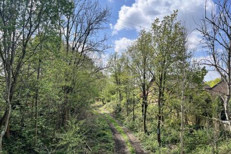 Nearby Woodland Walk