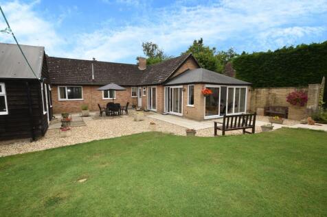 Back Garden 2