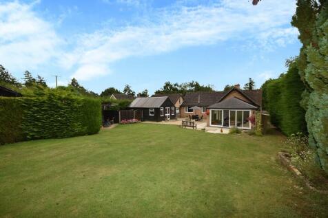 Back Garden 3