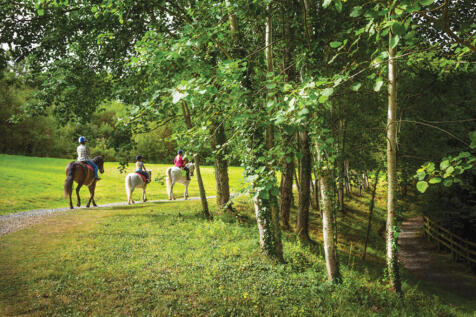 Horse Riding is Available at Finlake Resort